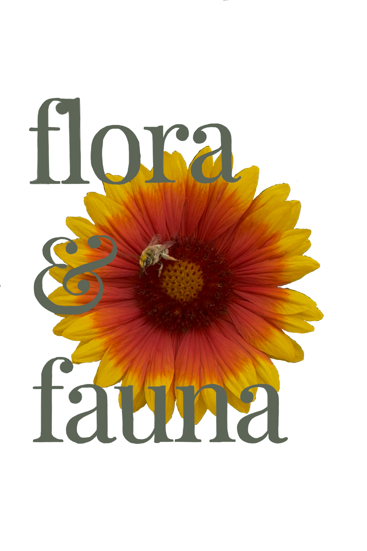 Flora & Fauna